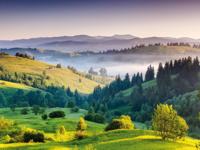 Buiten canvas 58x78 cm landschap Anna's Collection - Annas collection - thumbnail