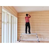 Telesteps Solid Line platform - 61209-601 - thumbnail