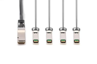 Digitus DN-81322 Glasvezel / SFP+ Optische vezel, Computer Aansluitkabel 2 m Zwart [1x QSFP+ - 4x SFP+]