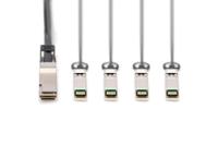 Digitus DN-81322 Glasvezel / SFP+ Optische vezel, Computer Aansluitkabel 2 m Zwart [1x QSFP+ - 4x SFP+] - thumbnail