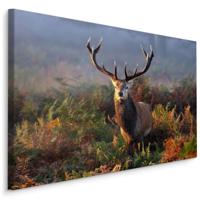 Schilderij - Imposant Hert, 5 maten, Premium Print - thumbnail