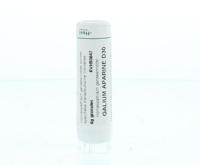 Homeoden Heel Ginkgo biloba LM30 6 Gram - thumbnail