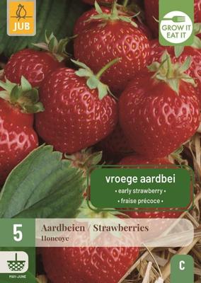 Aardbeienplanten Honeoye