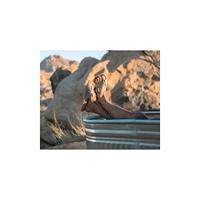 Chaco Chillos Slide Slipper Fossil 12/46 - thumbnail