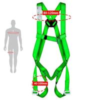 New Comers Strap Ponsa Ecosafex 2 - thumbnail