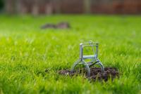 Nature Woelratklem 14x11x9cm - thumbnail