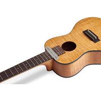 Warwick RockCare Fingerboard Saver 1 voor smalle frets - thumbnail
