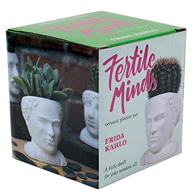 UPG Planter - Frida Kahlo
UPG Planter - Frida Kahlo