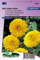 Calendula Officinalis zaden Balls Yellow goudsbloem - thumbnail