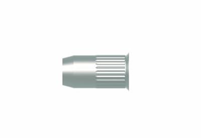 Gesipa Blindklinkmoer | klinknagelschacht d x l 11 x 17 mm M8 | staal kleine kop | 100 stuks - 1433714 1433714 Gesipa Blindklinkmoer | klinknagelschacht d x l 11 x 17 mm M8 | staal kleine kop | 100 stuks - 1433714 1433714