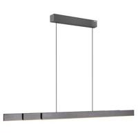Neuhaus PURE Hanglamp e-Lift + e-Slide L 120-200 cm donker grijs - thumbnail