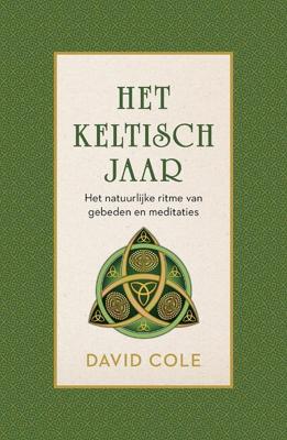 Het Keltisch jaar - David Cole - ebook