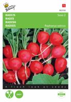 Radijs Saxa 2 - thumbnail