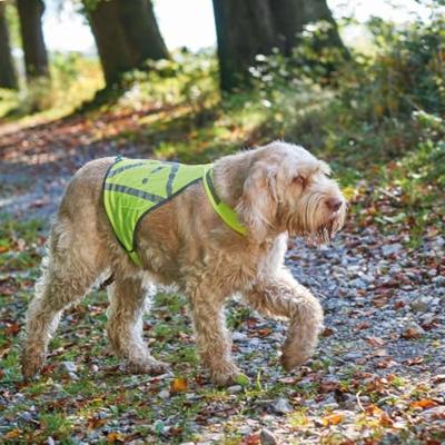 HUNTER Honden-veiligheidsvest Safety, neongeel, Maat: M HUNTER Honden-veiligheidsvest Safety, neongeel, Maat: M