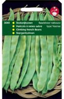 Zaden Stoksnijbonen Raadsheer type Veense 100g Tuinplus - Tuinplus - thumbnail
