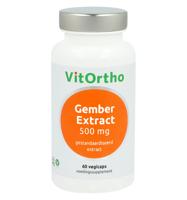 Gember extract 500 mg - thumbnail