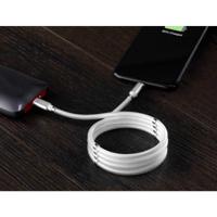 RENKFORCE USB 2.0 USB-C male kabel, Apple Lightning-stekker, 1.00 m, wit TO-6886779 - thumbnail