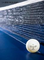 Dunlop TT BL 40+ Club Champ Tafeltennisbal (6-pack) - thumbnail
