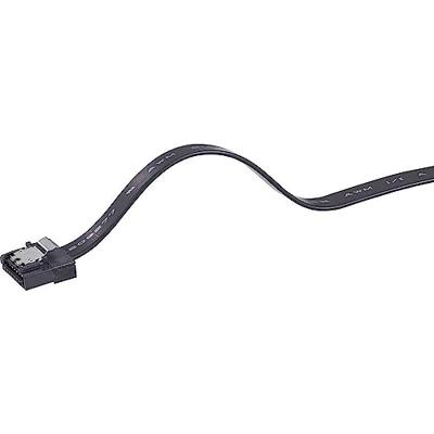 Renkforce HDD Aansluitkabel [1x SATA-bus 7-polig - 1x SATA-bus 7-polig] 0.50 m Zwart