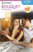 Grote stad, grote liefde ; Een lastige keuze - Liz Fielding, Susan Fox - ebook - thumbnail
