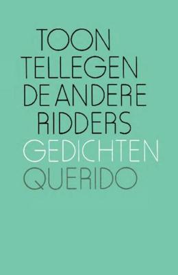 De andere ridders - Toon Tellegen - ebook