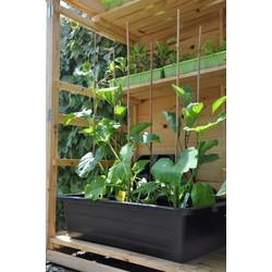 3 stuks! Maxi Container 40 L Royal Well Slim Kweken - Slim kweken