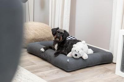 Knuffel voor honden Trixie Elroy Polyester Pluche Beer 42 cm
