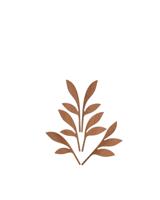 Alessi The Five Seasons Reservestokjes Ahhh - thumbnail