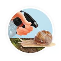 Huis van de Slakken rood - thumbnail