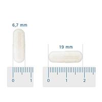 Vitalize GlucoMotion Collageen Type II Capsules - thumbnail