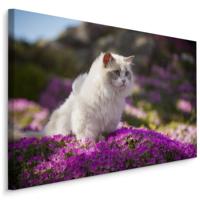 Schilderij - Ragdoll Kat tussen de Bloemen, Premium print - thumbnail
