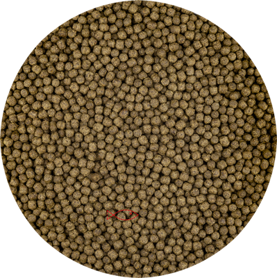 Vivani Color Koi Voer 3mm met Spirulina - Intense Kleurbevordering & Weerstand - 6kg