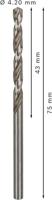 Bosch Accessoires Metaalboren HSS-G, Standard 4,2 x 43 x 75 mm 10st - 2608595060 - thumbnail