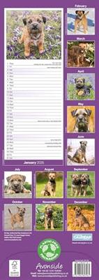 Border Terrier Kalender 2026 Slimline Border Terrier Kalender 2026 Slimline