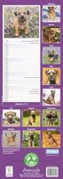 Border Terrier Kalender 2026 Slimline - thumbnail