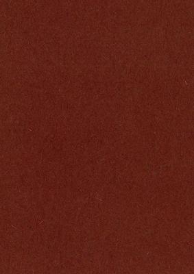 Gekleurd tekenpapier, 120 g, ft 21 x 29,7, A4, bruin, pak van 500 vel