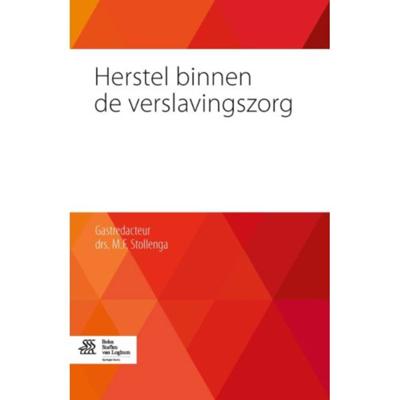 Herstel binnen de verslavingszorg (Paperback)