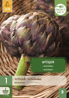 Cynara scolymus bol/knol JUB 1 stuks - Jub
