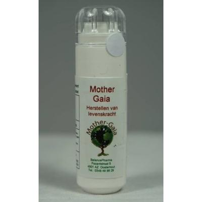 Mother Gaia Chakra & spirit 07 Herstellen van levenskracht 6 Gram