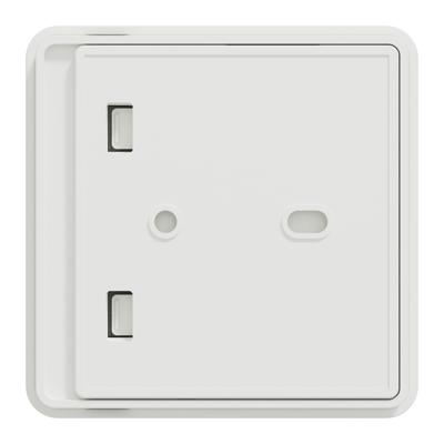 Schneider Electric Wiser CCT593012 Temperatuursensor, Luchtvochtigheidssensor CCT593012