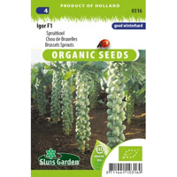 Biologische Spruitkool zaden Igor F1 - thumbnail
