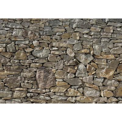 Komar fotobehang stone wall 368x254 cm 8-727