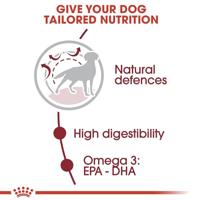 ROYAL CANIN MEDIUM ADULT - thumbnail