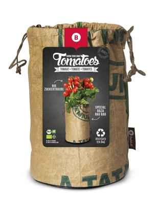 Seeds & Tomatoes rags bio zuckertraube