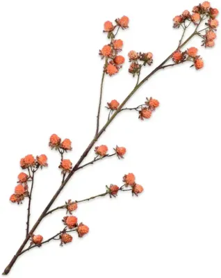 Silk-ka kunsttak braam 113cm oranje