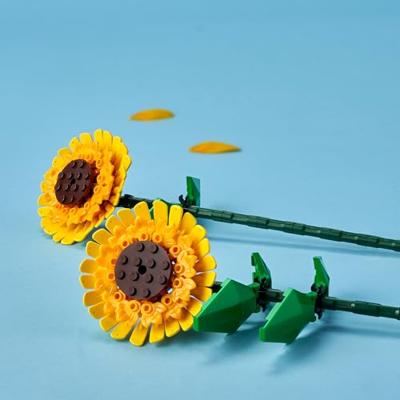 LEGO® ICONS™ 40524