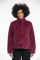 Rino&Pelle Jack Kion.7002511 | Paars rood - thumbnail