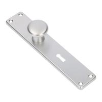 AMI Knop 160/50 Vast Langschild 212/41 RH Sl 56 F1 - 313792 - thumbnail