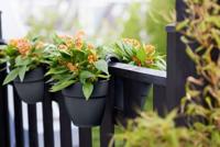 ELHO - Bloempot - Vibia Campana Flower Twin 21 - Antraciet - Buitenbalkon - L 38,4 x B 20,5 x H 26,5 cm - thumbnail