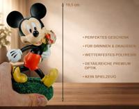 Disney Tuinbeeld 3d mickey flowers - thumbnail